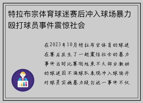 特拉布宗体育球迷赛后冲入球场暴力殴打球员事件震惊社会